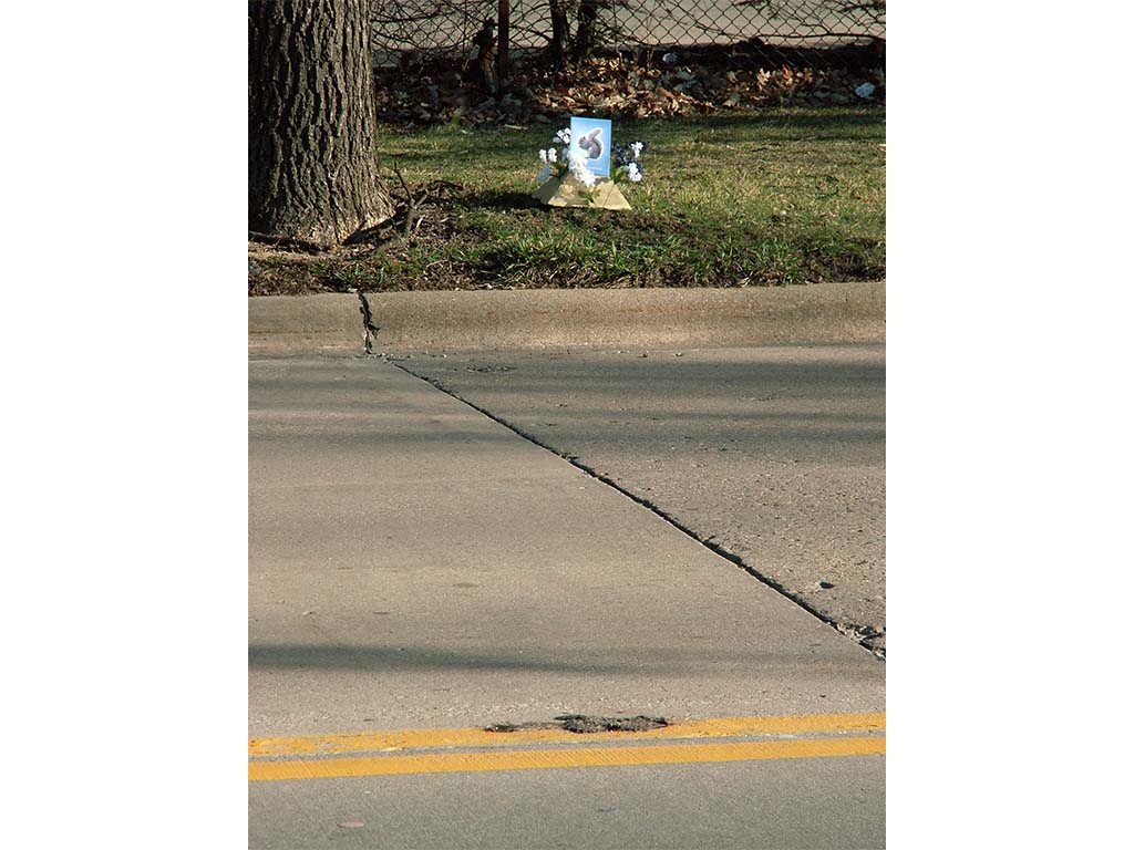 roadkill shrine